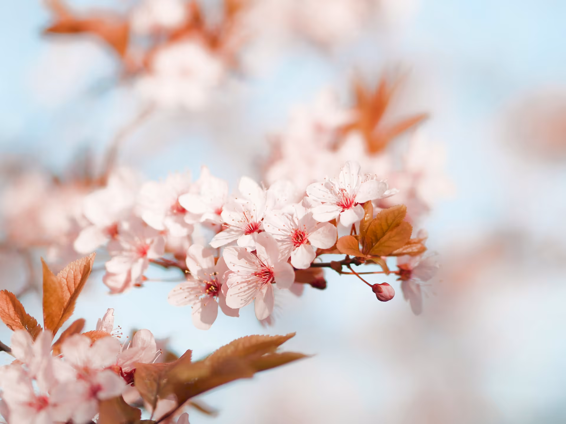 测试文章 - Post 页面完整功能展示